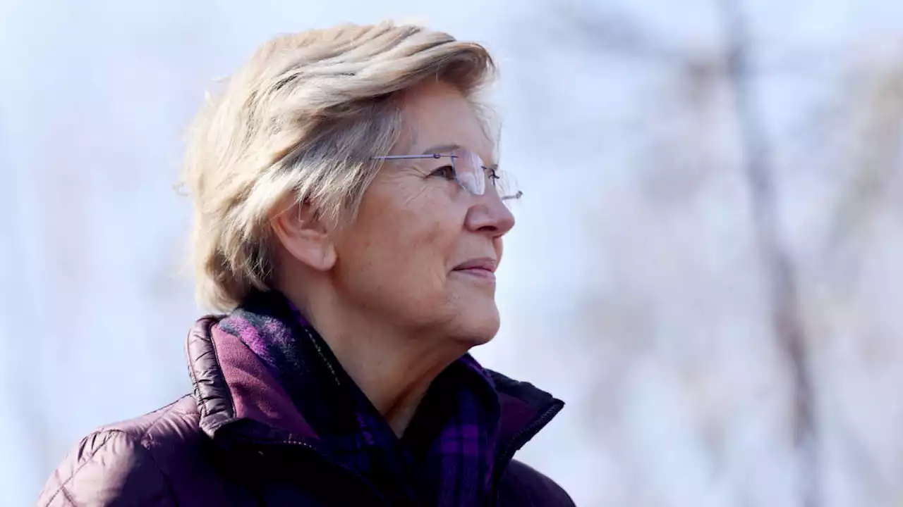 Biden Can Reduce Prescription Drug Prices Without Congress, Warren Says