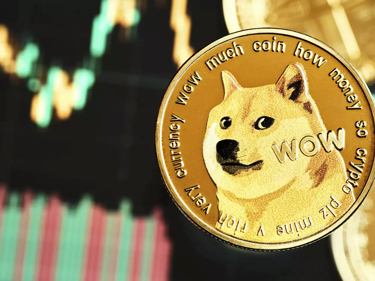 Dogecoin Erases Elon Musk-Driven Gains