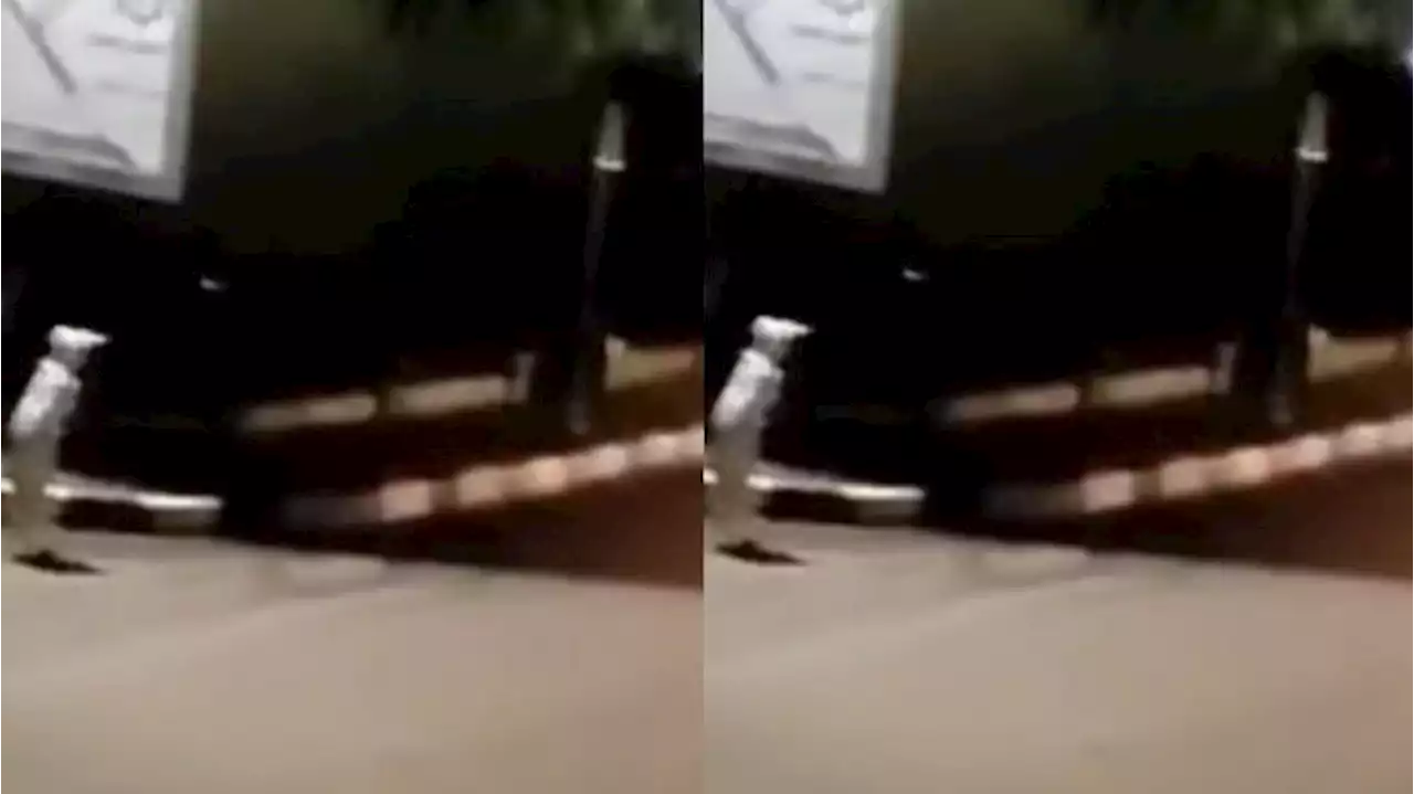 Viral Warga Jadi 'Pocong' Menakuti Pengguna Jalan