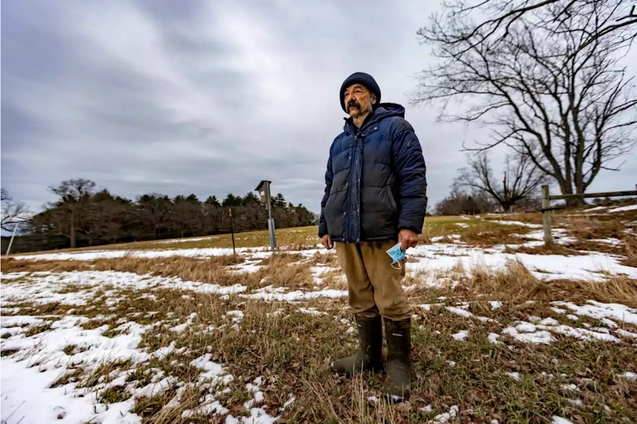 'There is a price, and not just a dollar amount': A North Shore beef farmer on meat and climate change