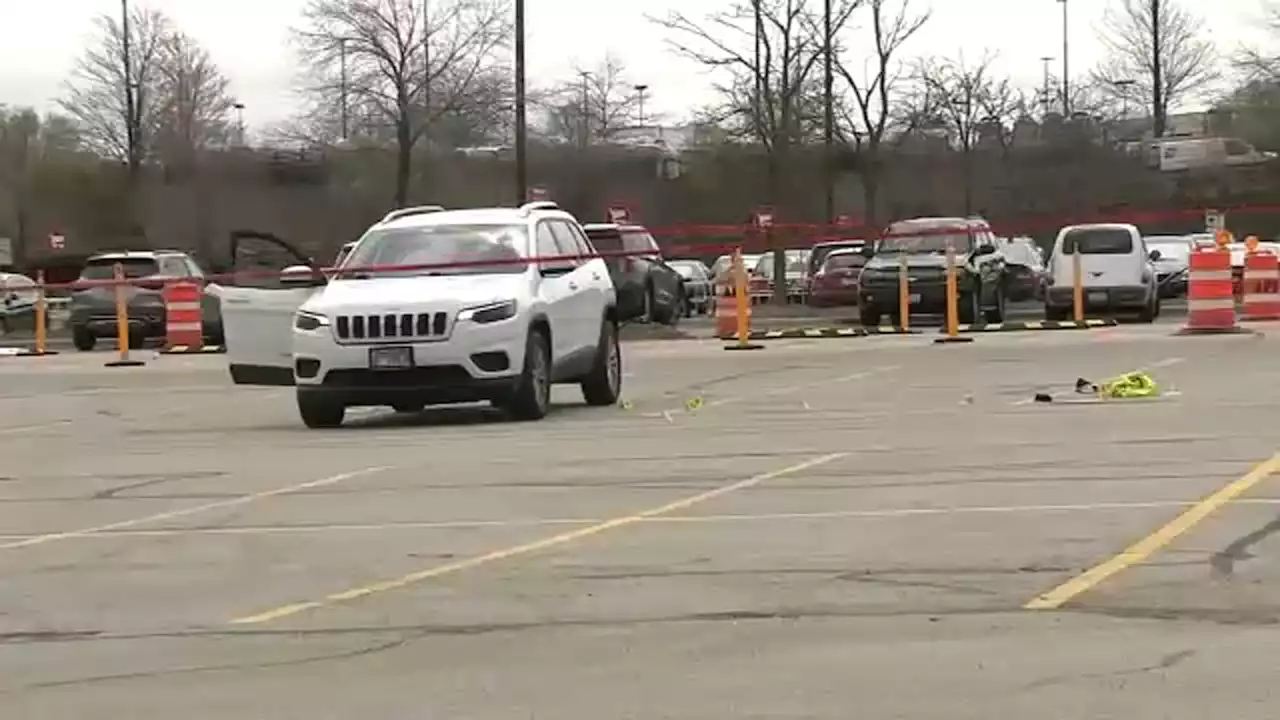 Woman shot, killed in Brickyard Mall parking lot; person in custody, Chicago police say