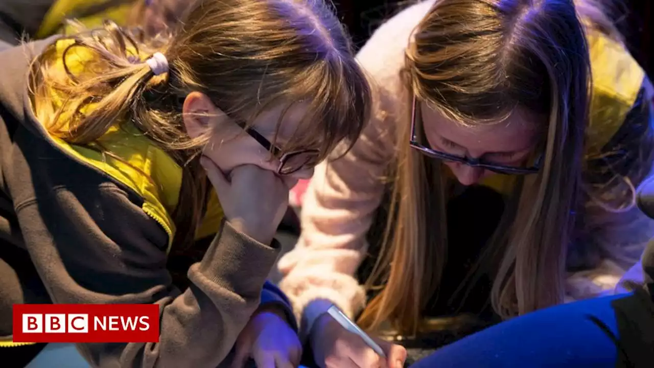 Brownies to learn coding to get more girls into science