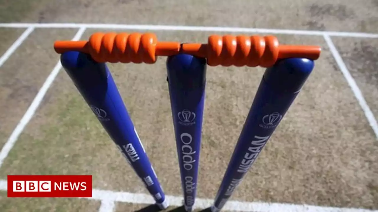 Scottish cricket racism review hears from 200 witnesses