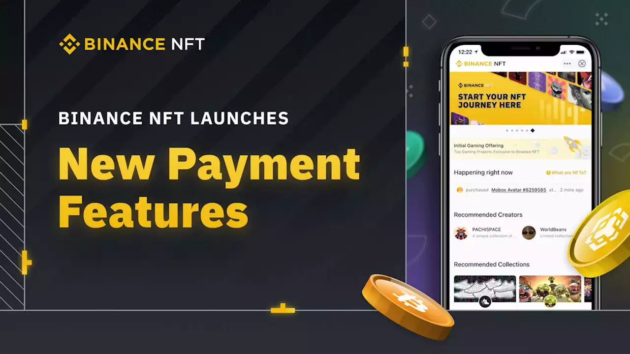 Binance NFT Launches Password-Free Purchase Limit and Pay PIN Features | Binance Support