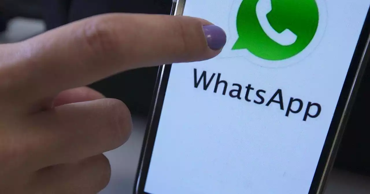 WhatsApp planea lanzar un plan de suscripción: qué ofrecería