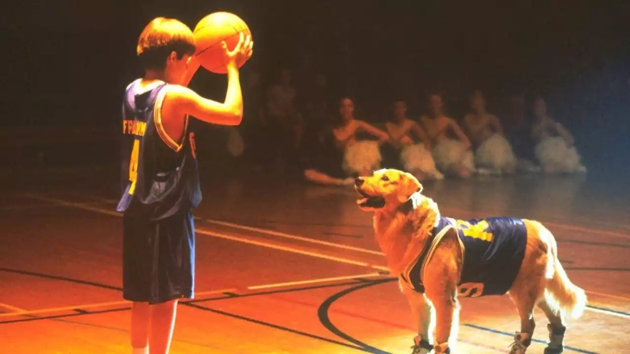 John Oliver Hilariously Destroys Disney Classic Air Bud in New Segment