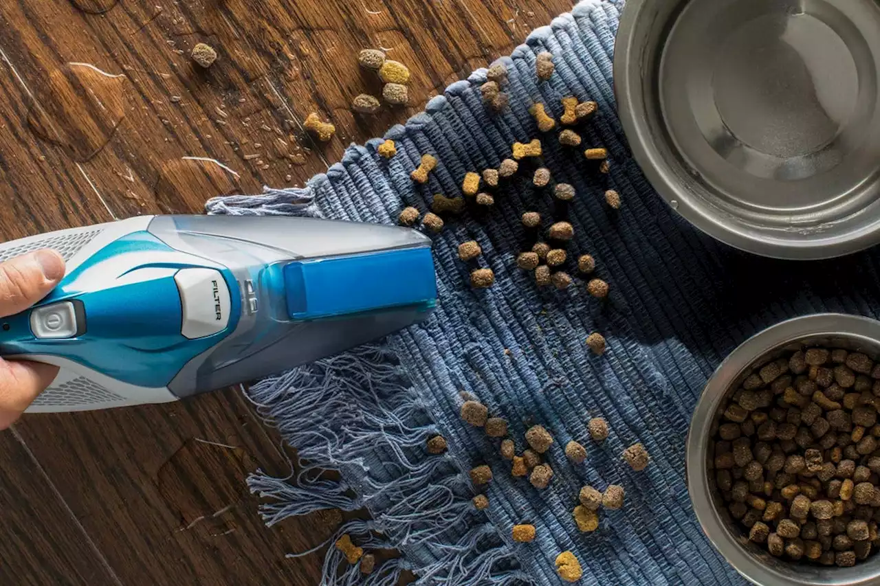 The 12 Best Handheld Vacuums For Quick And Easy Clean-Ups