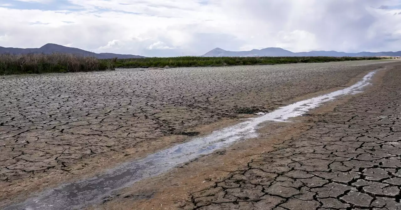 Millions must cut water use in drought-stricken California