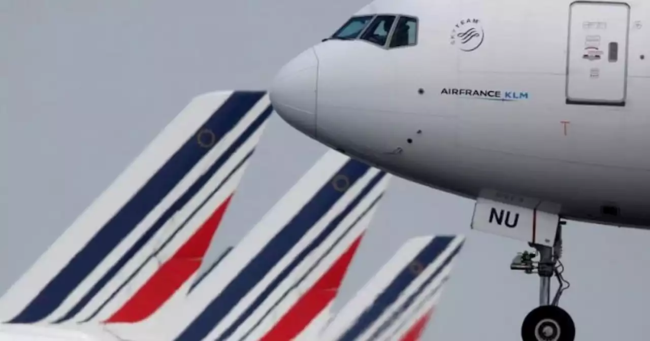 Pilots pulled in opposite directions in Air France landing scare, say investigators | Malay Mail