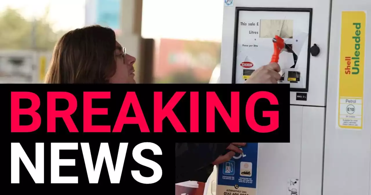 Climate protesters smash petrol pumps with hammers at M25 services