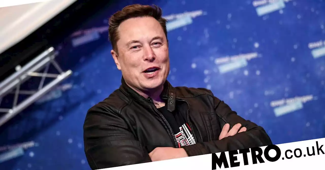 Elon Musk's Twitter takeover is bad news for us all