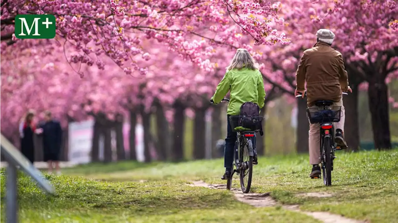 Frühling in Berlin: 10 tolle Unternehmungen