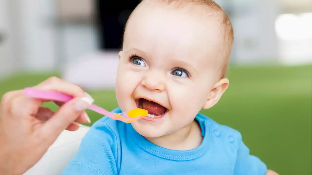 The best iron rich foods for babies and toddlers