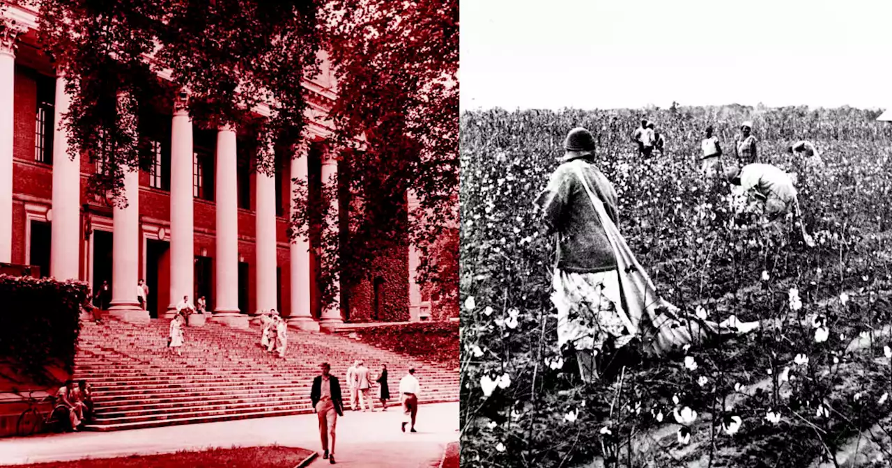 Harvard slavery report shows why race-conscious admissions are absolutely critical