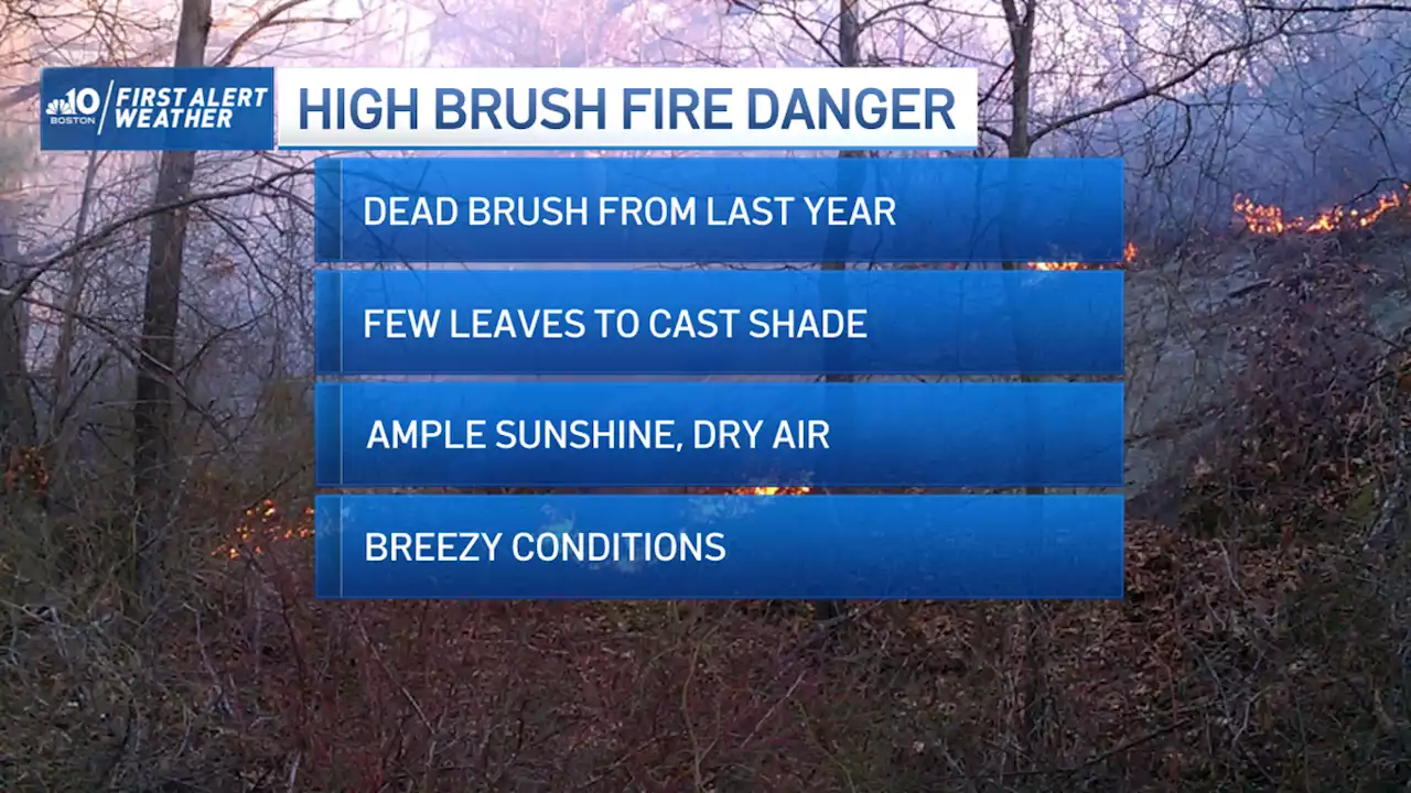 Pollen, Brush Fire Danger Highlight Weekend Weather