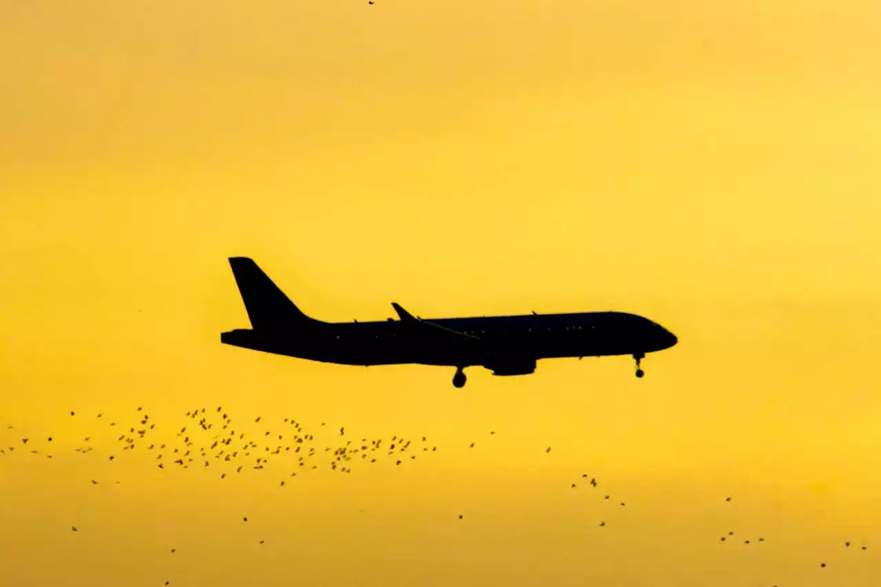 EU plan for cutting emissions from planes could end up increasing them