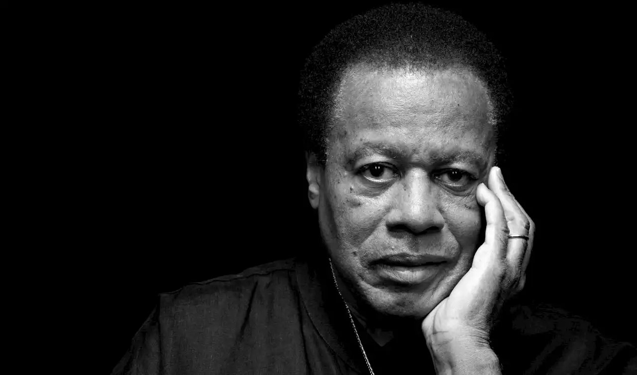 Wayne Shorter dares you