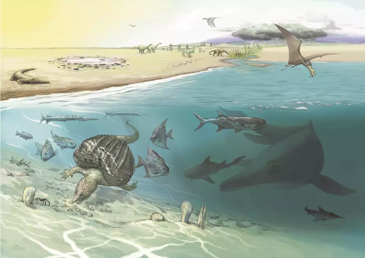 Huge new ichthyosaur, one of the largest animals ever, uncovered high in the Alps