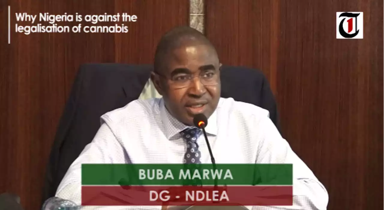 2023: NDLEA writes APC, recommends drug test for presidential aspirants, others