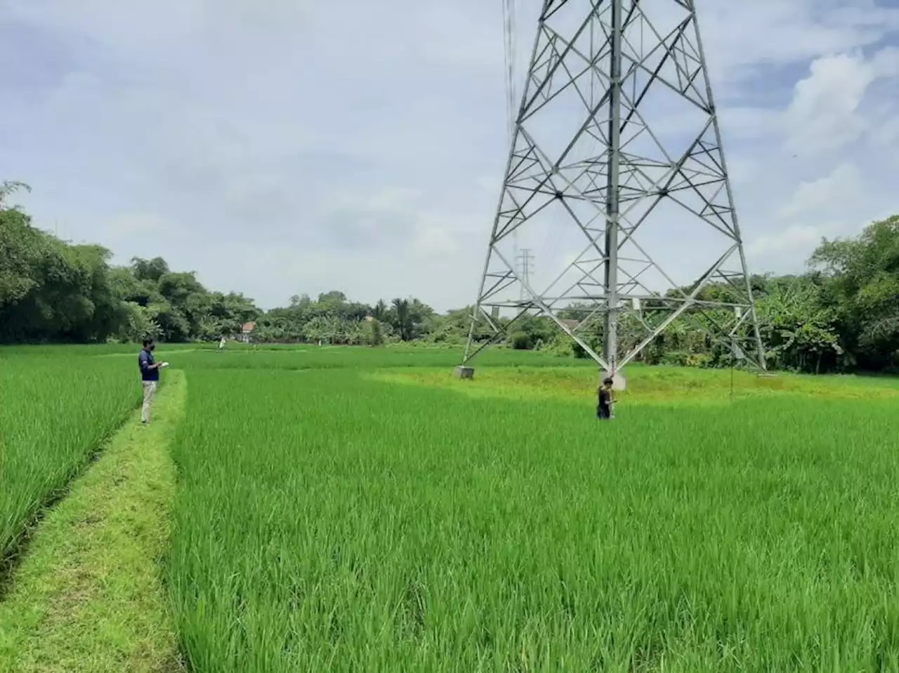 Gandeng BPN dan KPK, PLN Berhasil Sertifikasi 71 Ribu Aset Tanah |Republika Online