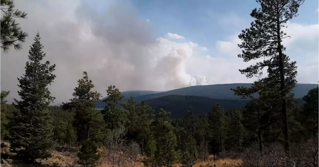 Drought-driven wildfire leaves 'moonscape' in New Mexico