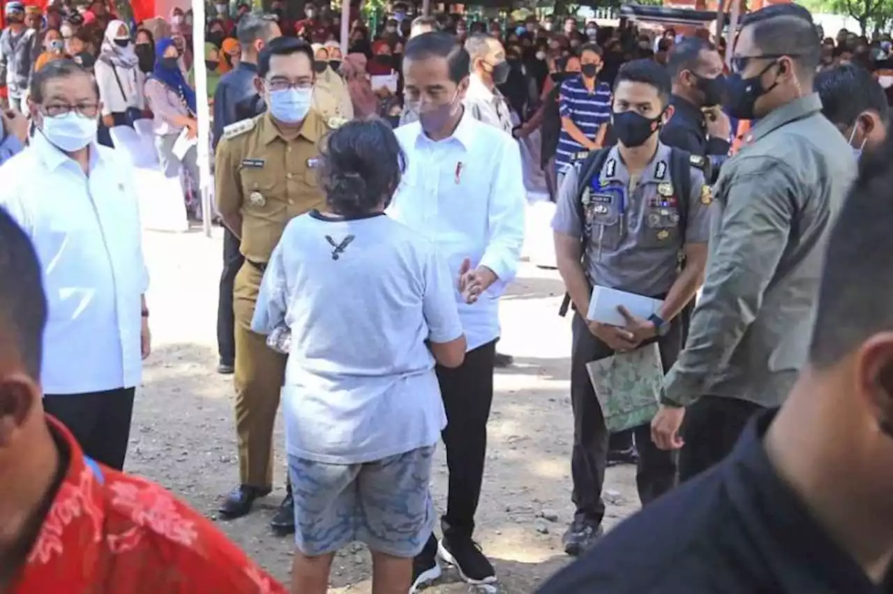 Jokowi Keukeuh Larang Ekspor CPO dan Minyak Goreng, Ini Tujuannya