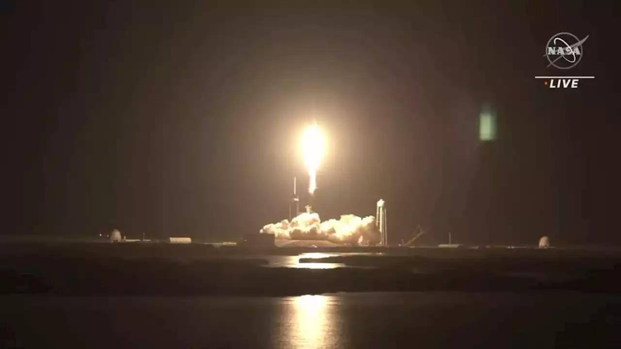 My DNA just launched to orbit with SpaceX's Crew-4 mission