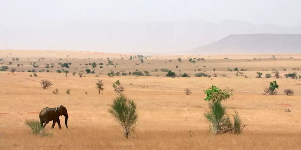 Naturschutz und Kolonialismus: Ein Hoch auf den Naturschutz?