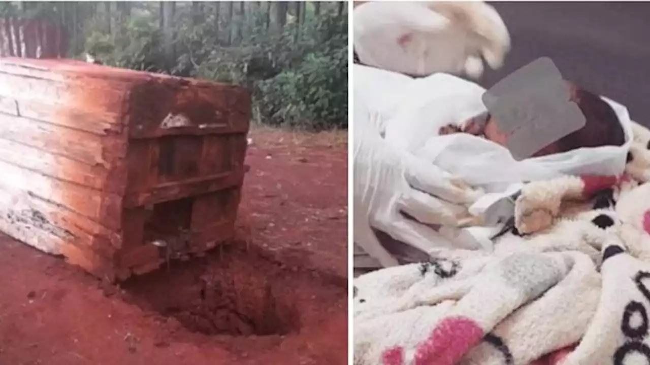 Rescataron a un recién nacido de una letrina