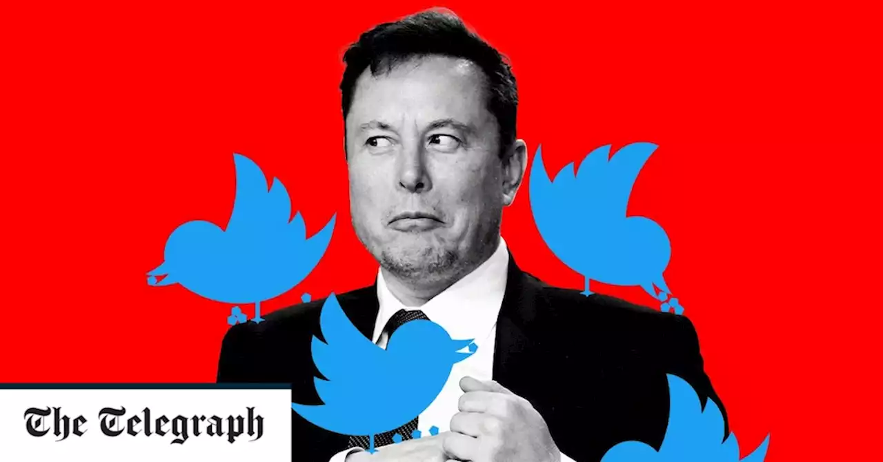 Elon Musk’s masterplan for Twitter – by those who know him best