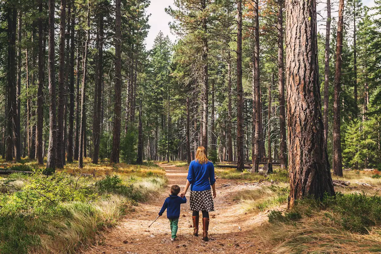 Why Doctors Are Prescribing Nature Walks