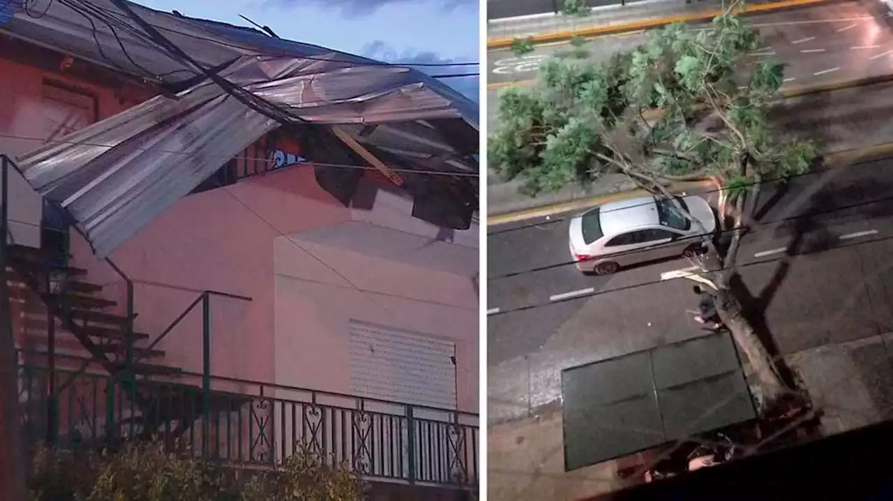 Temporal en el AMBA: árboles caídos, techos destrozados y vientos de 126 kilómetros por hora