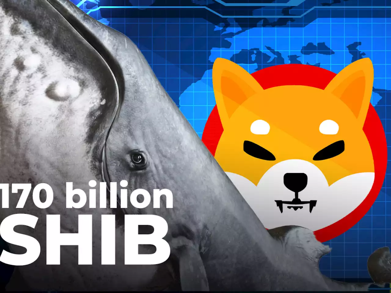 170.5 Billion SHIB Bought by These Whales in Past 2 Days: Report