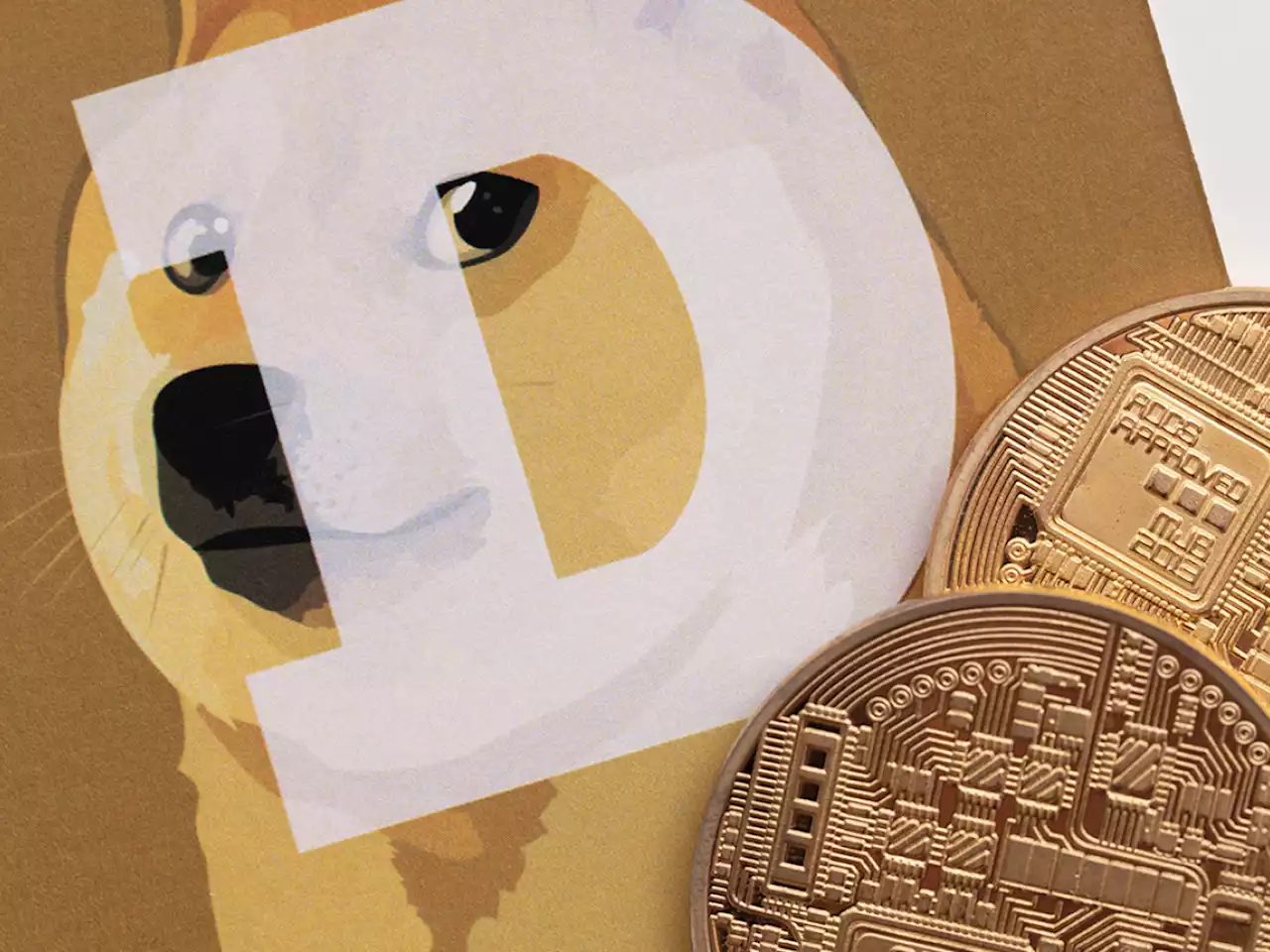 Dogecoin Trading Volumes Spike Amid Whales' Utility: Details