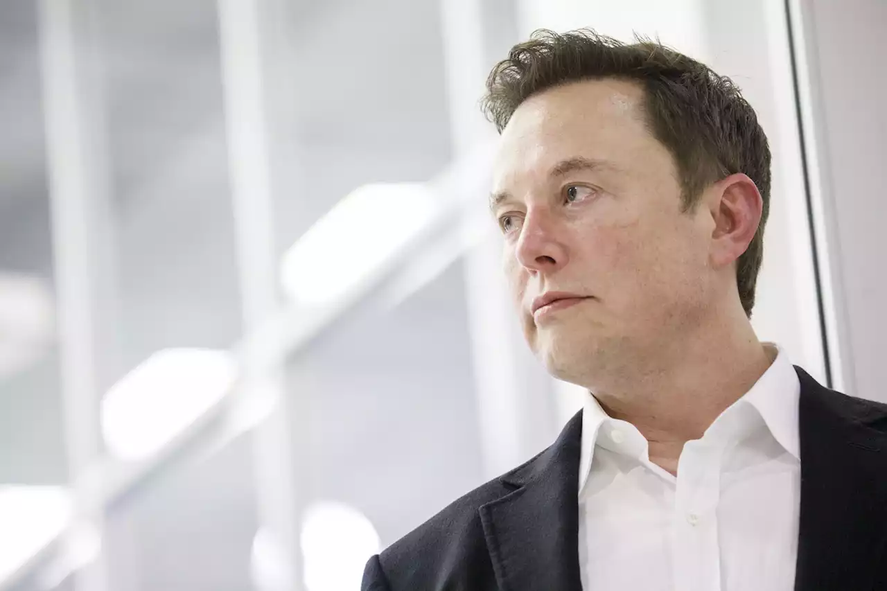 Elon Musk boosts criticism of Twitter executives, prompting online attacks