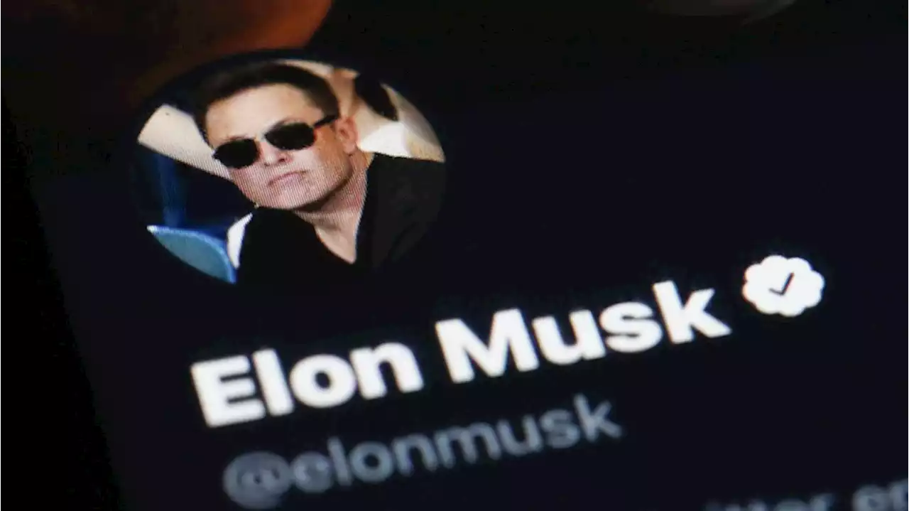 'Mobbing keine Führungsstärke': Harte Kritik an Elon Musk nach Attacken auf Twitter