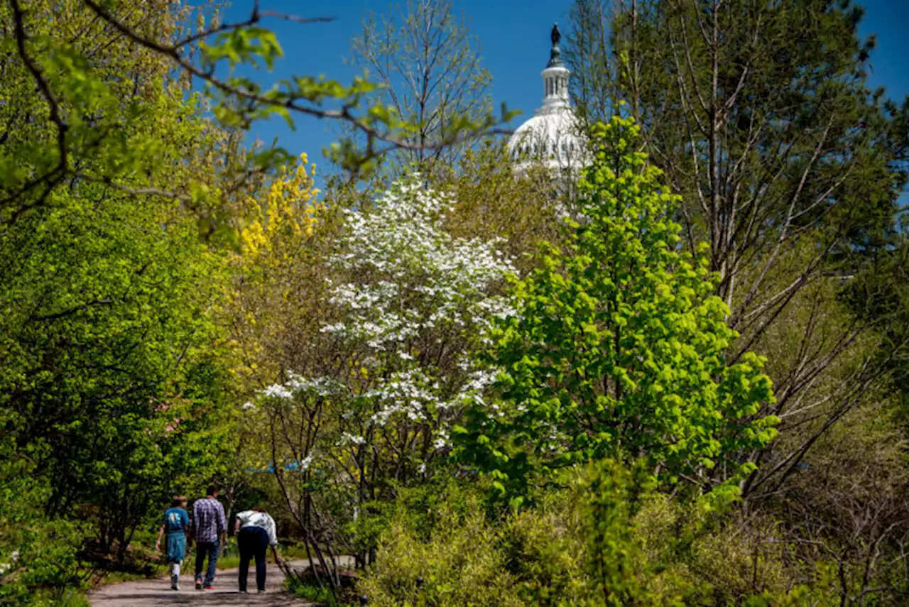 Overheard In D.C.: Put Some Ass Into It