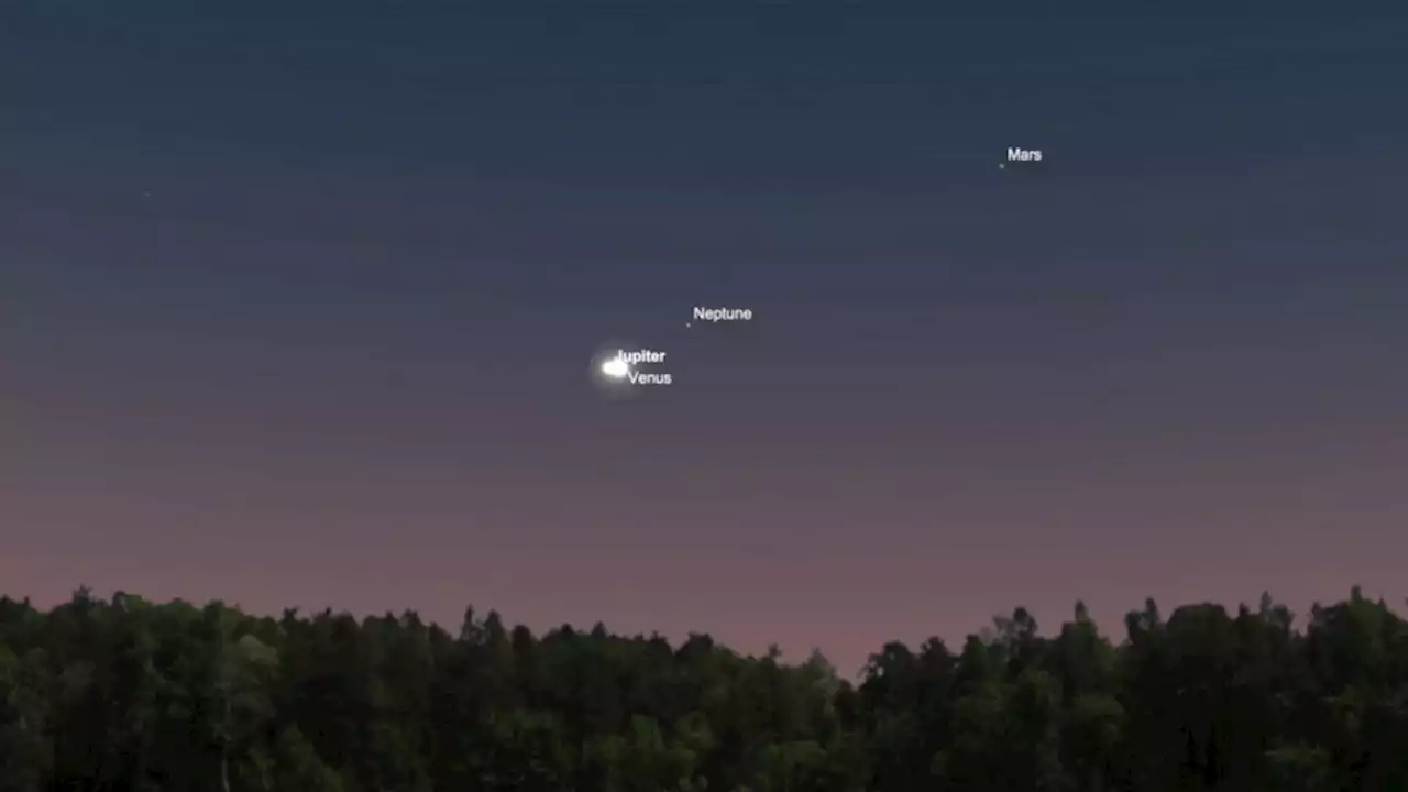 Venus and Jupiter will appear to 'nearly collide' in the night sky