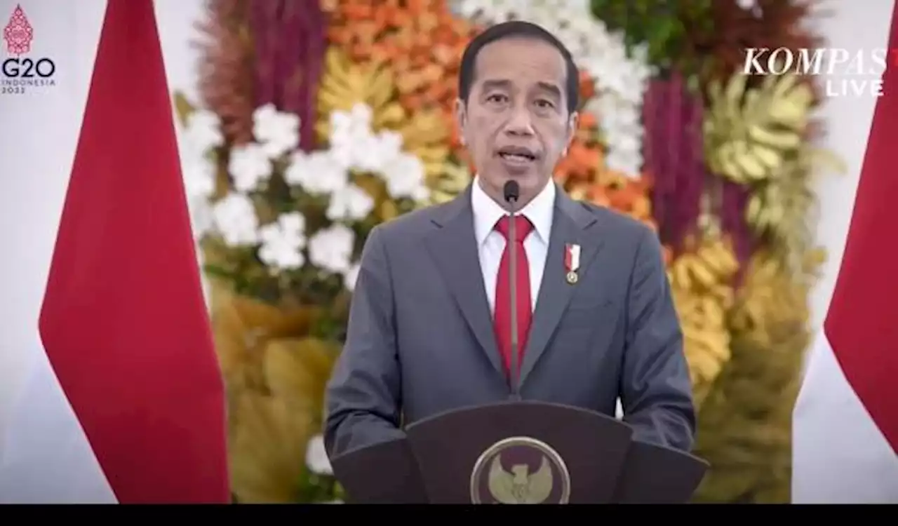 Jokowi Tolak Ukraina yang Minta Bantuan Persenjataan: Indonesia Melarang