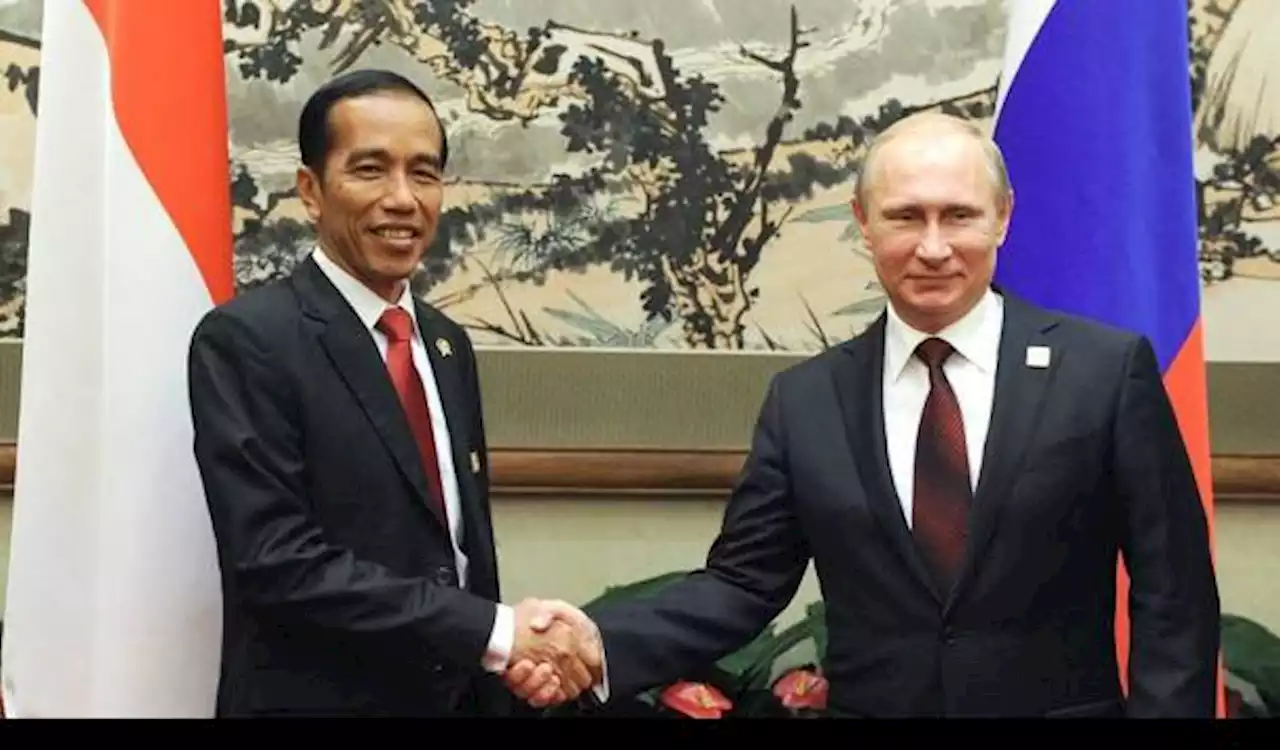 Krisis Rusia-Ukraina: Jokowi Ajak Putin dan Zelensky Hadiri KTT G20, Siapa yang akan Datang?