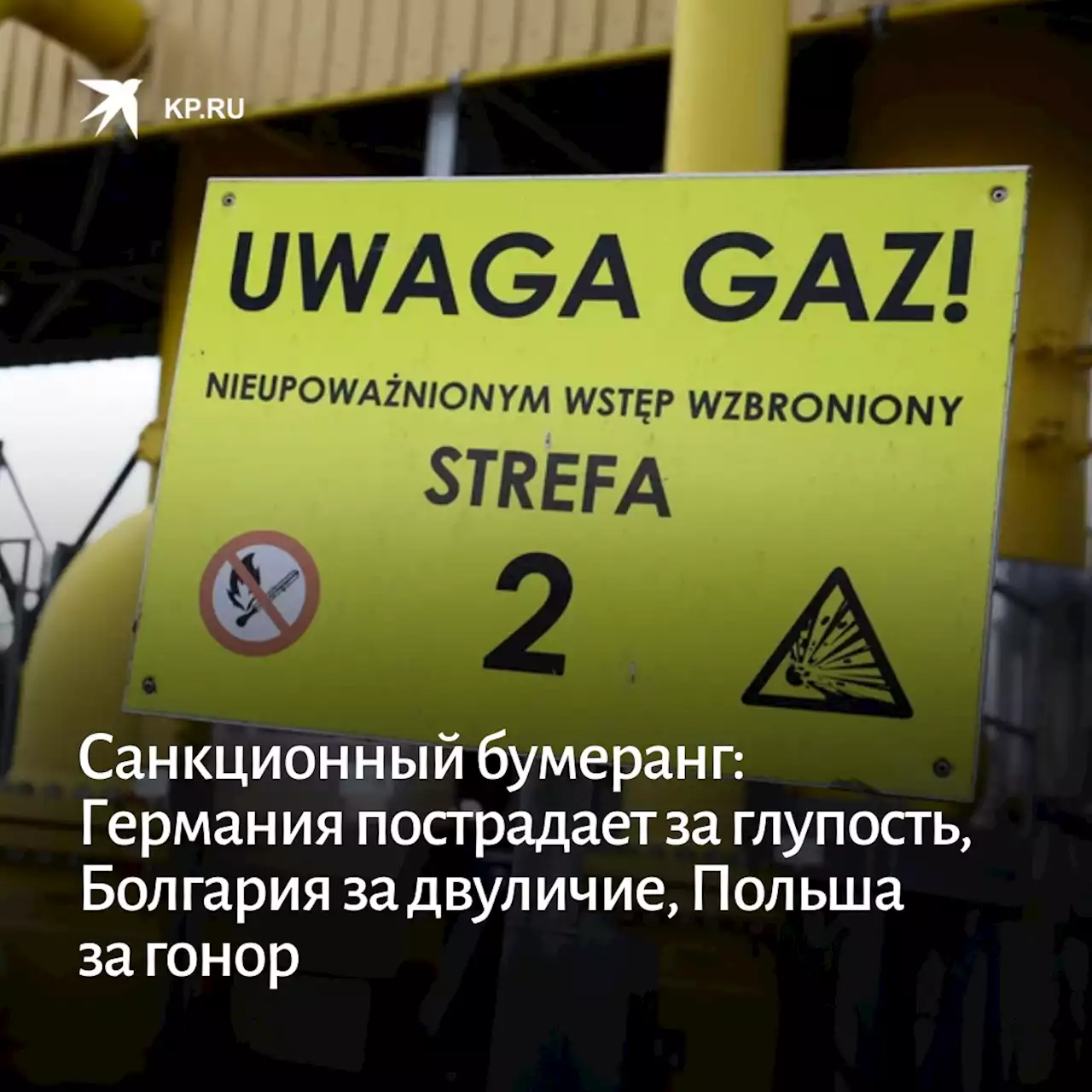 Санкционный бумеранг: Германия пострадает за глупость, Болгария за двуличие, Польша за гонор