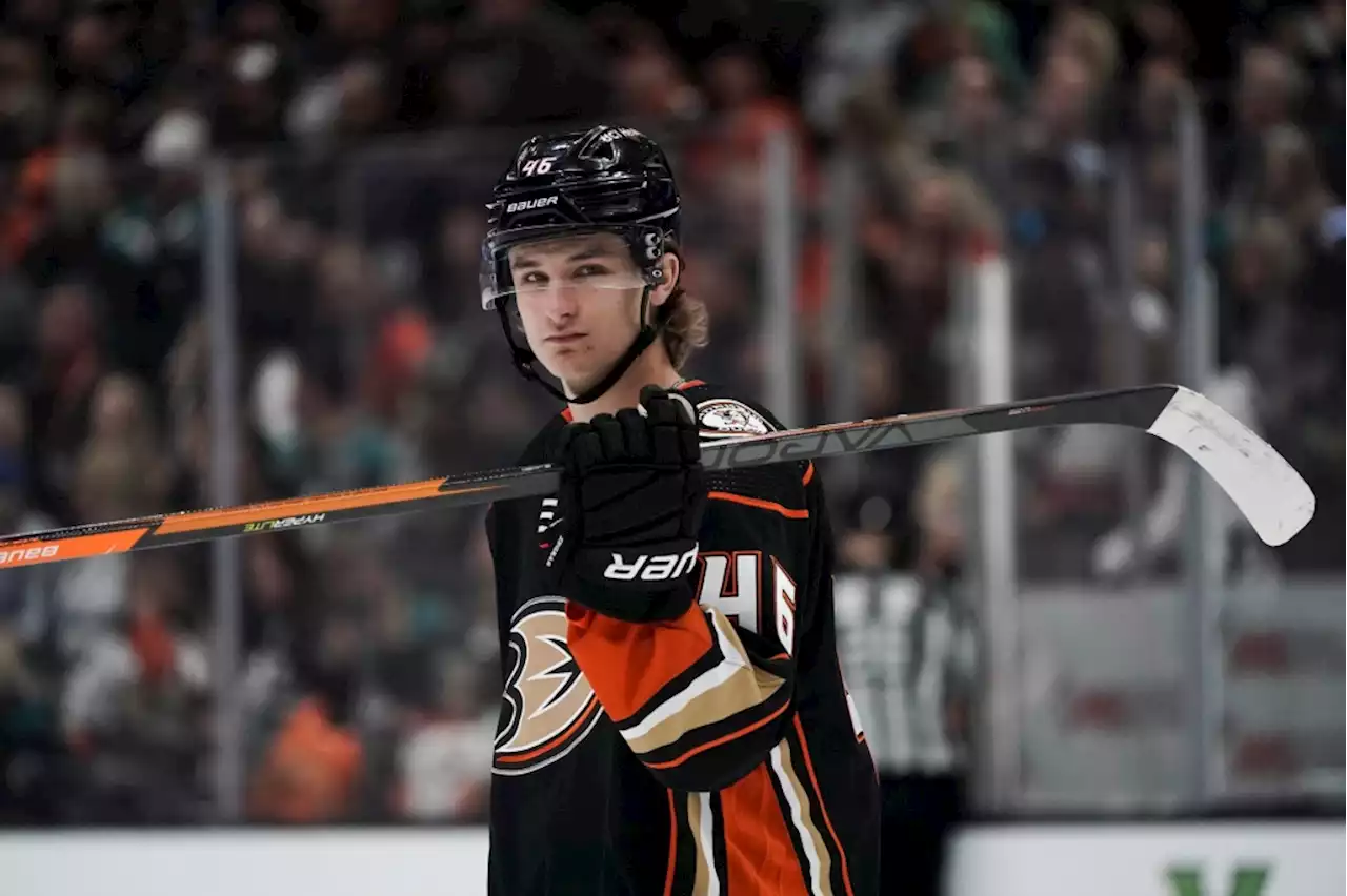 Ducks will end the season with far different look than at the start