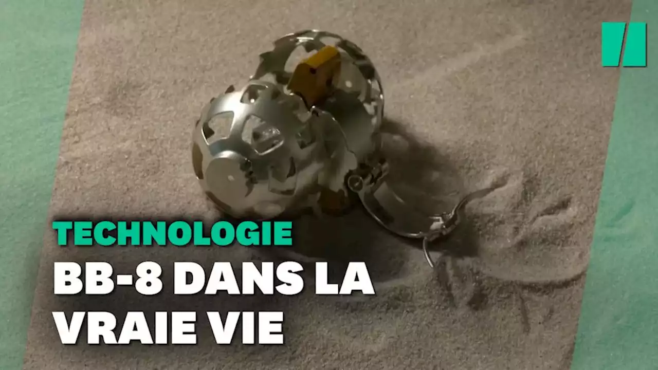 On dirait ce robot spatial japonais tout droit sorti de Star Wars