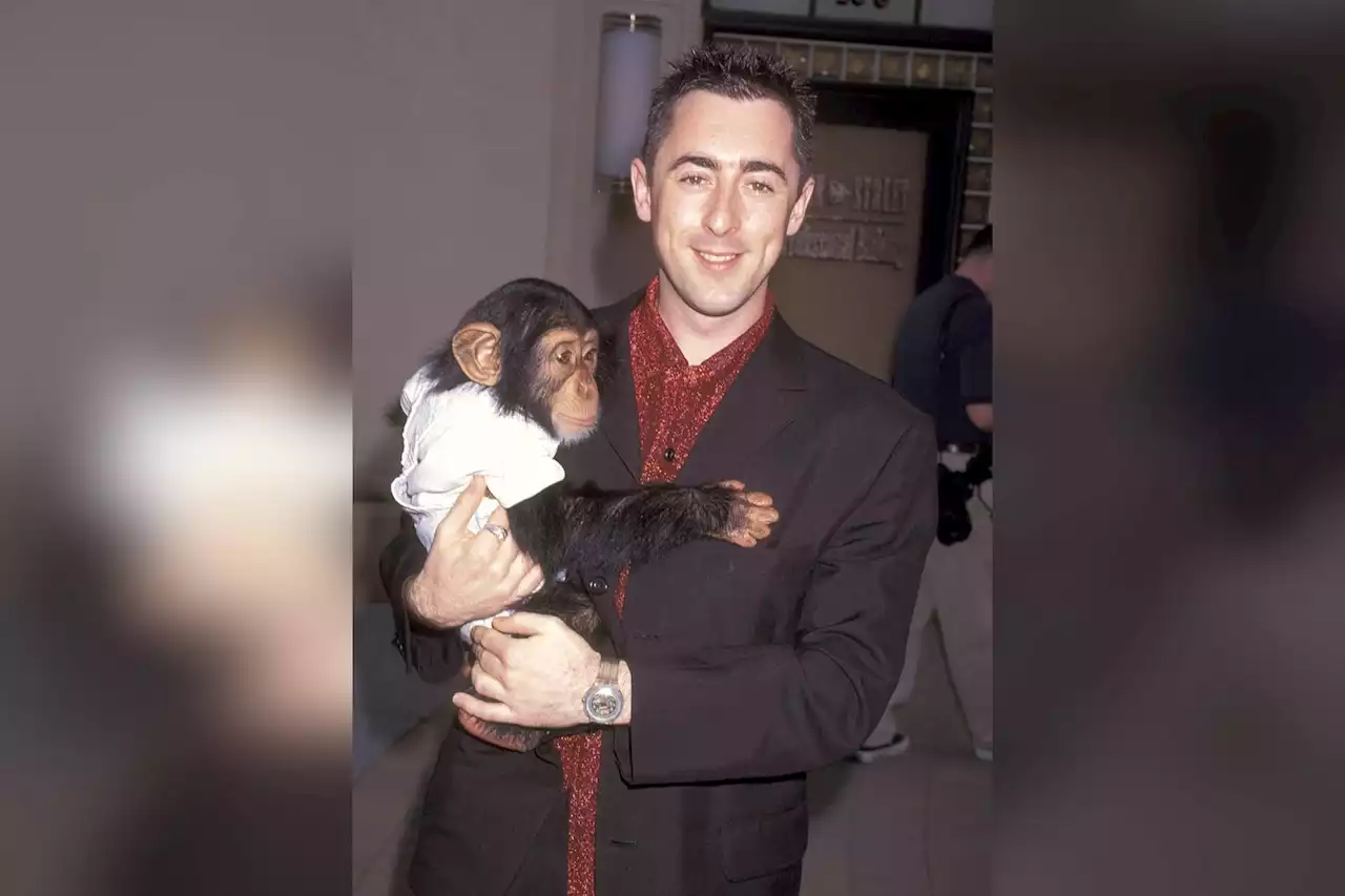 Alan Cumming offers $10K reward for info on missing chimpanzee co-star