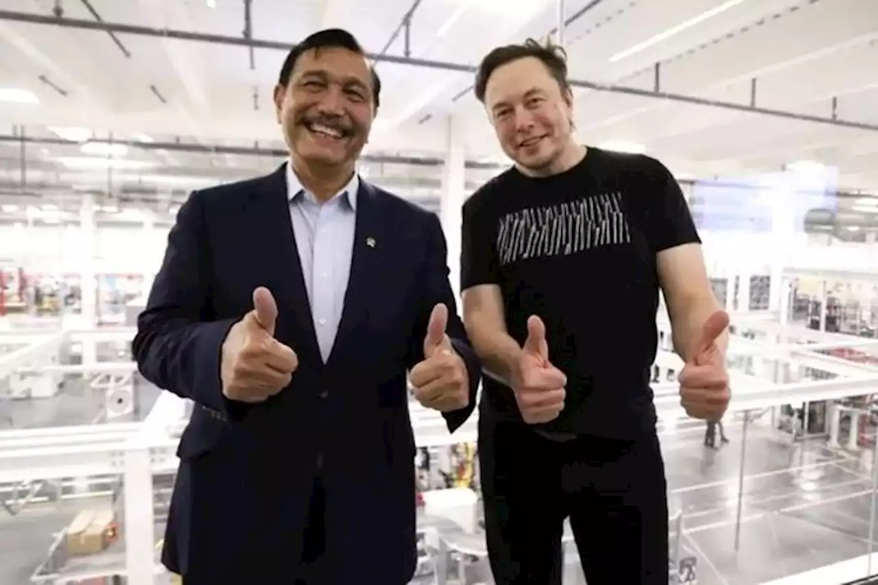 Isi Pembicaraan Luhut dan Elon Musk, CEO Tesla Tertarik Bangun Pabrik Baterai Mobil Listrik di Indonesia? - Pikiran-Rakyat.com