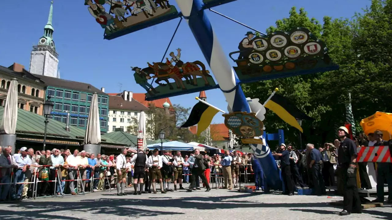 München: Der Viktualienmarkt bekommt wieder einen Maibaum