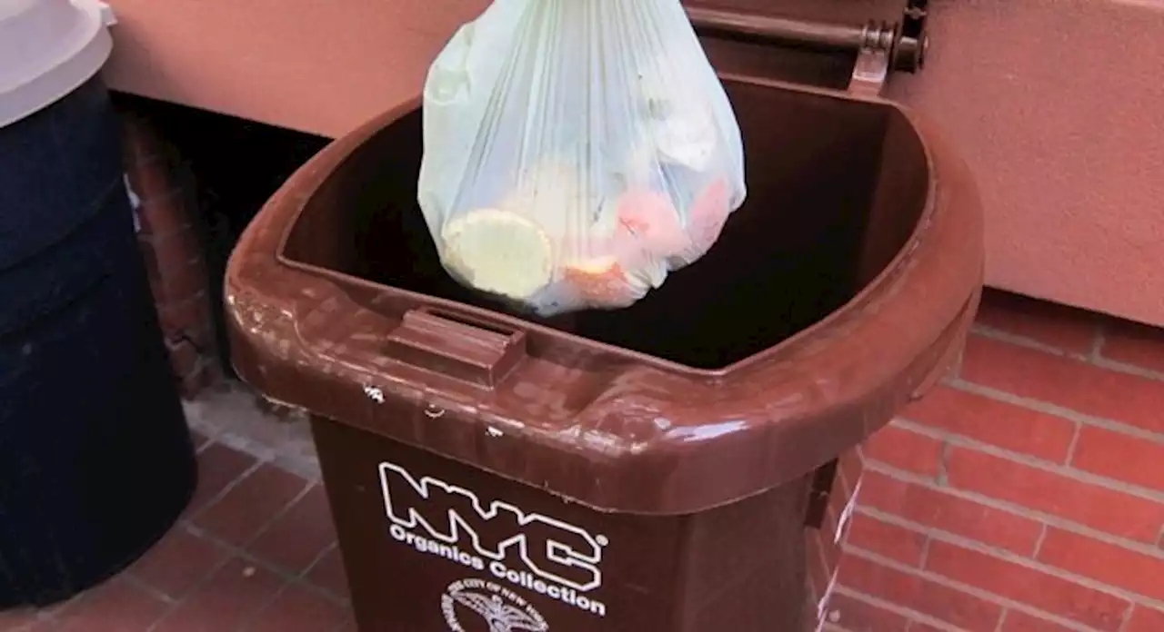 With community bins and organic waste collection, composting expands to NYC school system