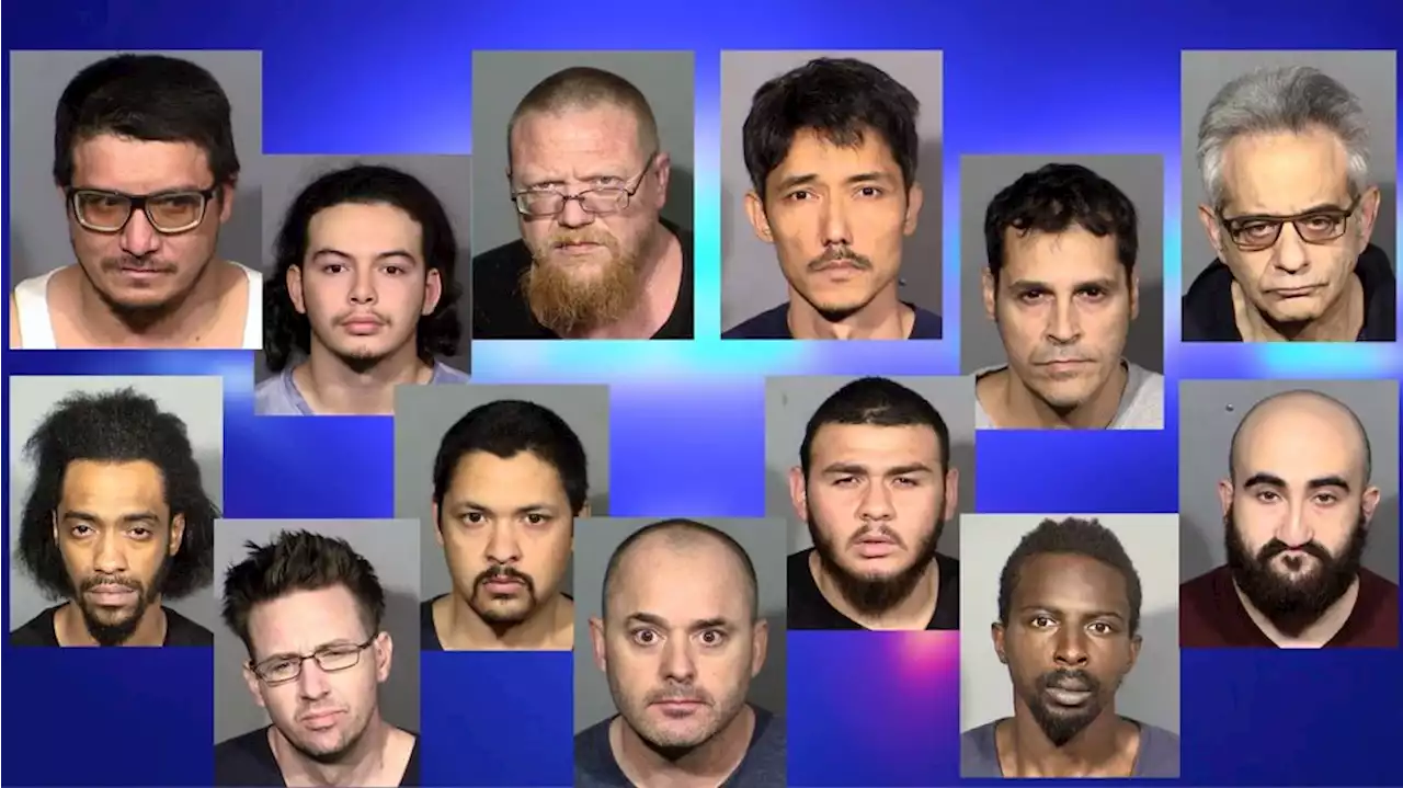 Police: 13 men arrested after trying to solicit children for sex during internet sting operation