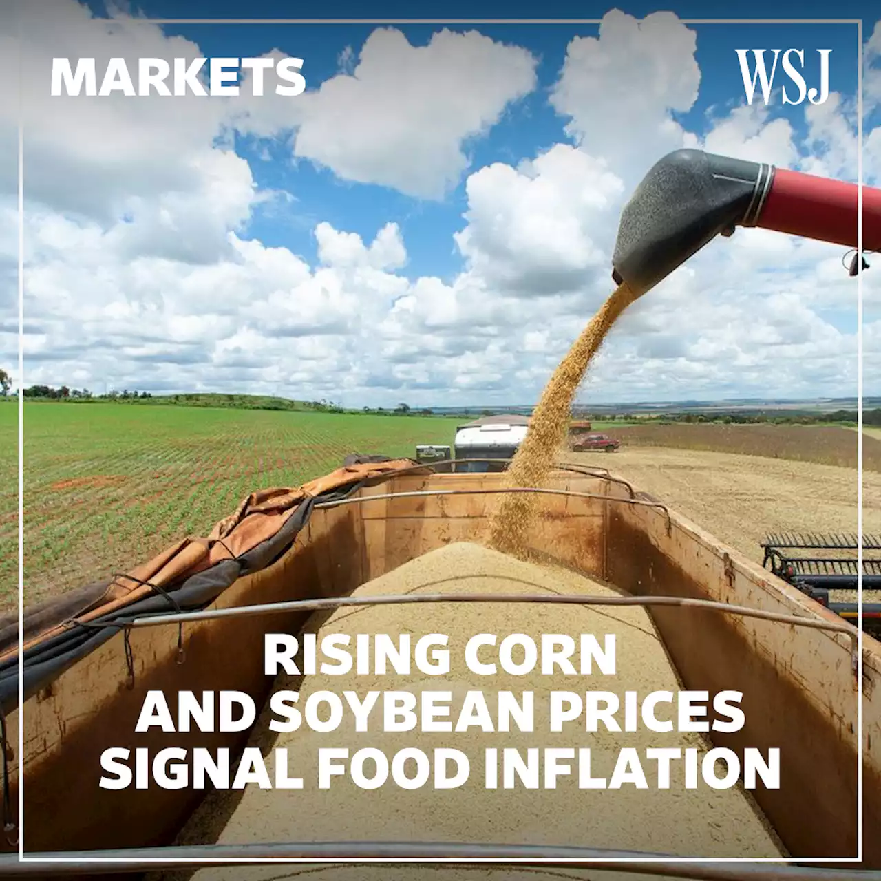 Corn and Soybeans Near Record Prices, Push Food Costs Higher