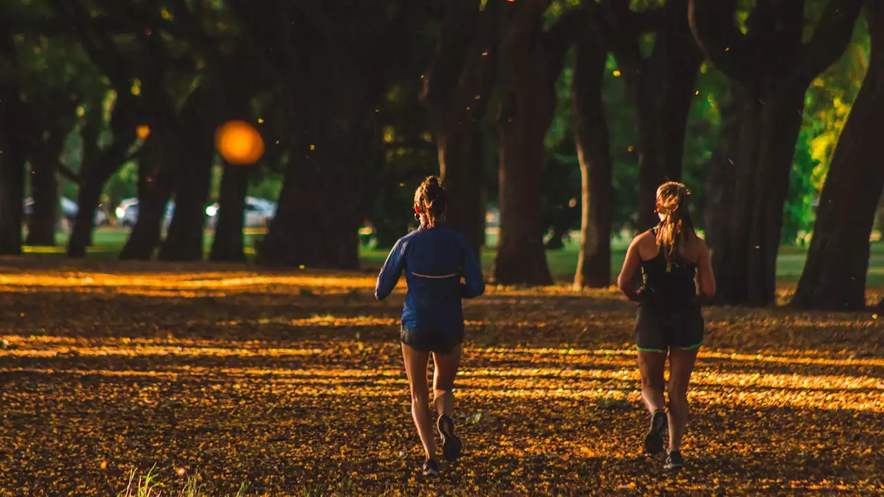 DuPage County Ranked Healthiest County in Illinois for 2nd Year in a Row: Report